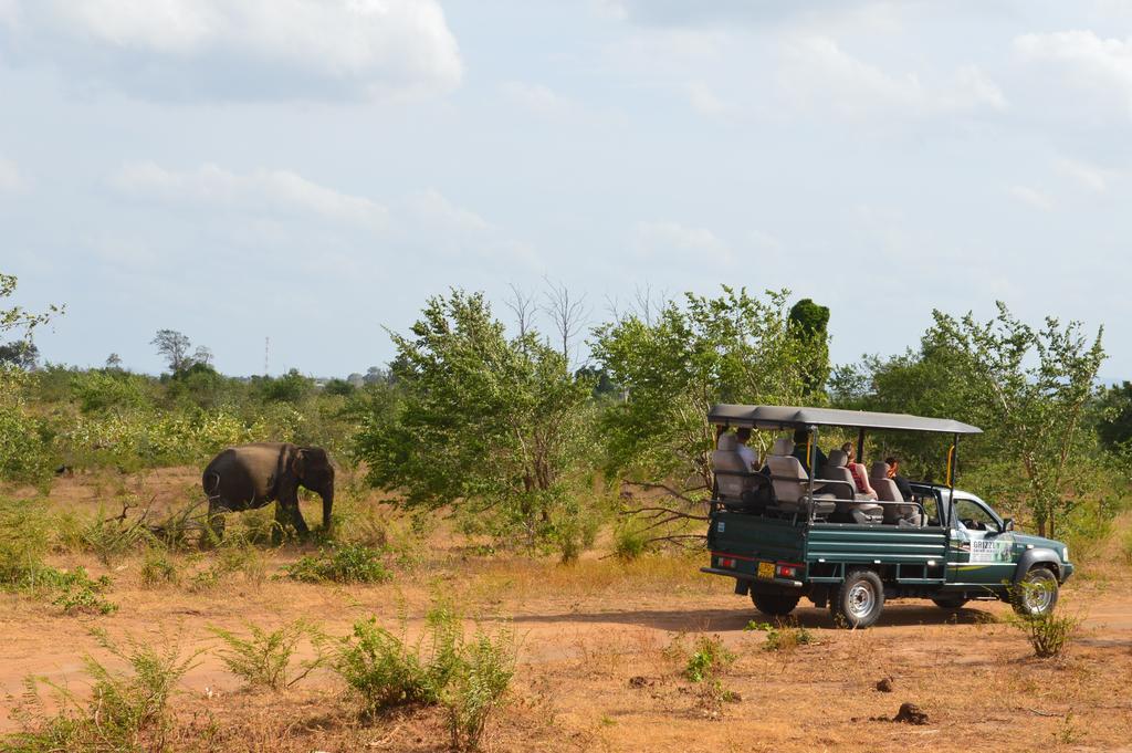 Wild Panthera Yala Тисамахарама Екстериор снимка